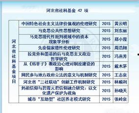 理论国产一级,引领科技创新，铸就民族品牌辉煌  第3张