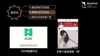 国产55页  第3张